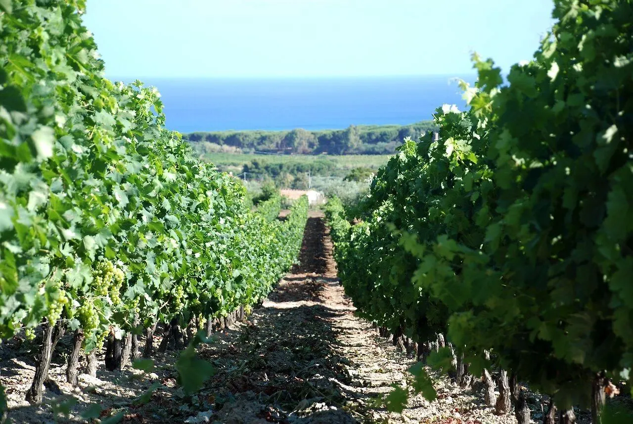 Serra Niedda Resort & Agriturismo Сорсо