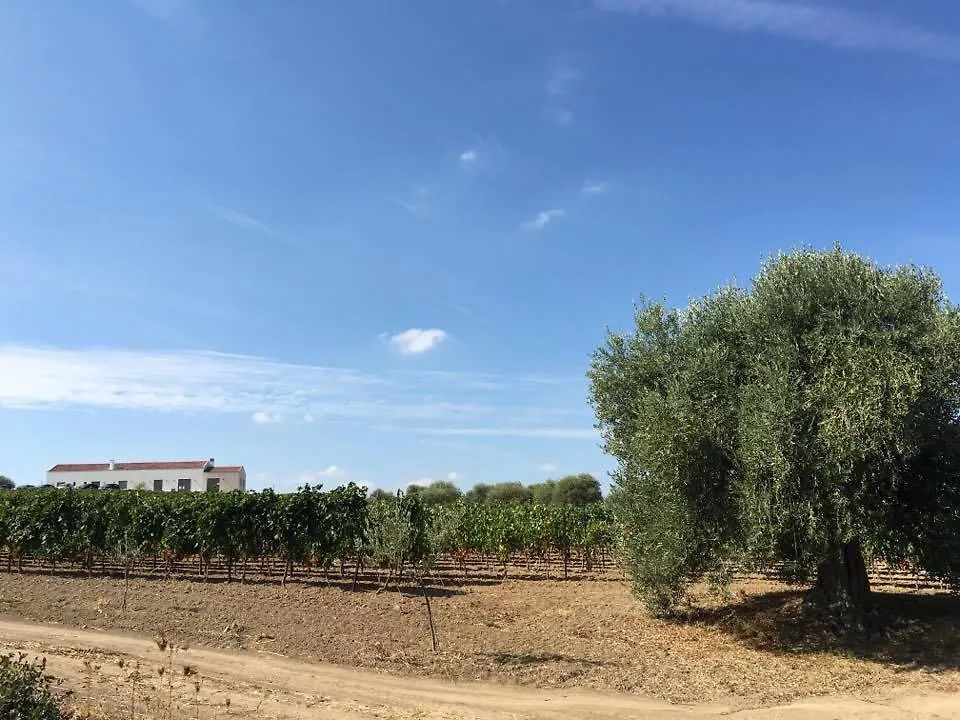 Serra Niedda Resort & Agriturismo Sorso 0*,